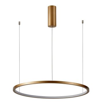 Italux Vinola PND-56135B-100RPP-GD-3KS4K-TRDIMM Függőlámpa 1x58W/LED 3000K|4000K 4640lm IP20
