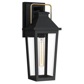 Quoizel Buckley QZ-BUCKLEY-M-MBK Fali lámpa 1x40W/E27 IP44