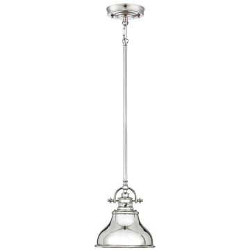 Quoizel EMERY QZ-EMERY-P-S-IS Függőlámpa 1x60W/E27