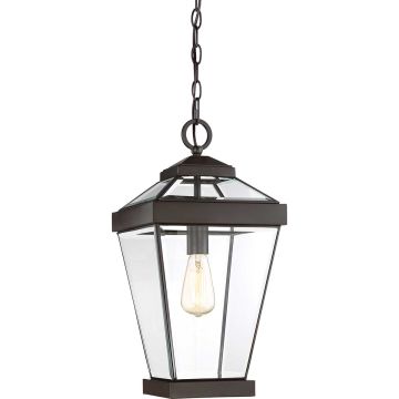 Quoizel RAVINE QZ-RAVINE8-L Függőlámpa 1x60W/E27 IP44