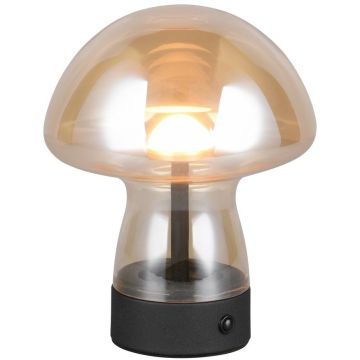 Trio DOOLEY R54981113 Asztali lámpa 1x1.5w/led 3000k 140lm ip20