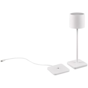 Trio FERNANDEZ R54096131 Asztali lámpa 1x1w/led 2700+4000+6000K 130lm ip54