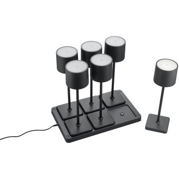 Trio FERNANDEZ R54096632 Asztali lámpa 6x1w/led 2700+4000+6000k 130lm ip20