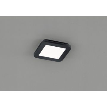 Trio CAMILLUS R62931032 Plafonlámpa 1x10w/led 3000k 850lm ip44