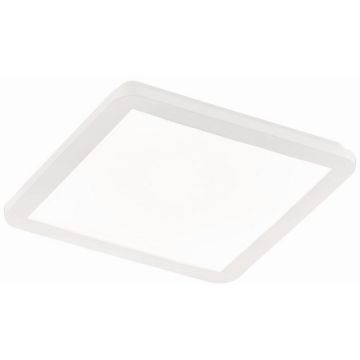 Trio CAMILLUS R62931801 LED panel 1x18w/led 3000k 1650lm ip44
