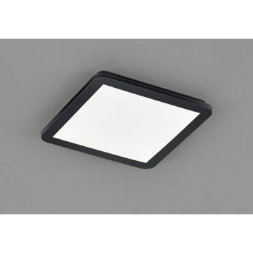 Trio CAMILLUS R62931832 Plafonlámpa 1x18w/led 3000k 1650lm ip44