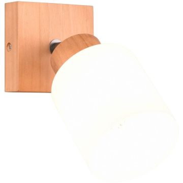 Trio ASSAM R81111030 Fali lámpa 1x25w/e14 ip20