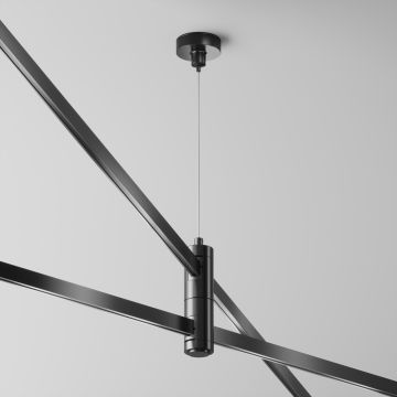 Maytoni Flarity TRA157SW-D1-B Függeszték IP20
