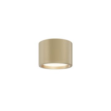 Maytoni Hydra C090CL-10W3K-MG 1x10W/LED 3000K 650lm IP44