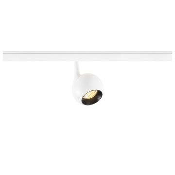SLV LIGHT EYE® 2.0 48V 1010459 Sínreflektor 1x10W/LED 3000K 1200lm