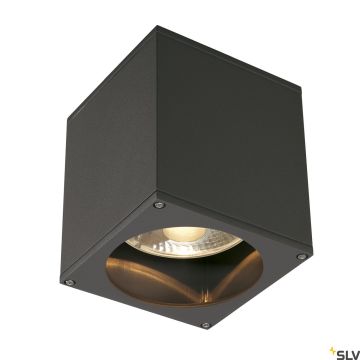 SLV THEO 229555 Süllyesztett mennyezeti lámpa 1x75W/GU10/ES111 IP44