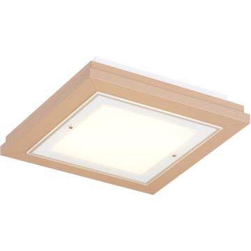 Argon TABOR 1871 Plafonlámpa 4x15W/E27 ip20