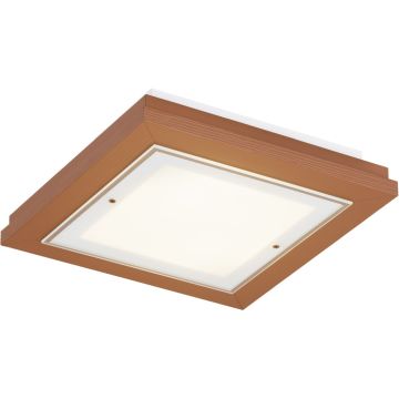 Argon TABOR 7268 Plafonlámpa 2x15W/E27 ip20
