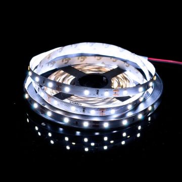 SMD LED PROline TAS4205SLL LED szalag 60x6W/m/LED 6000K 620 lm/m IP20