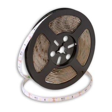 SMD LED PROline TAS4243SLL LED szalag 60x6W/m/LED 4000K 720 lm/m IP66