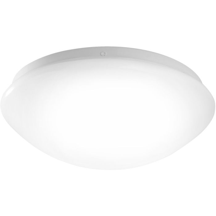 Paul Neuhaus-ANDREA-LED-14243-16-PLN14243-16