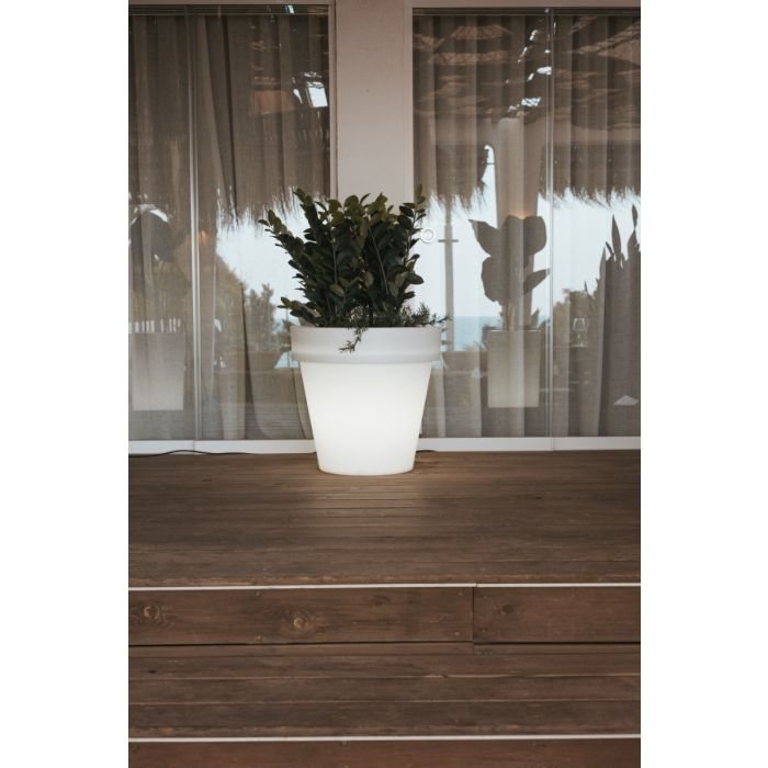 New Garden-MAGNOLIA-3167-NGR3167