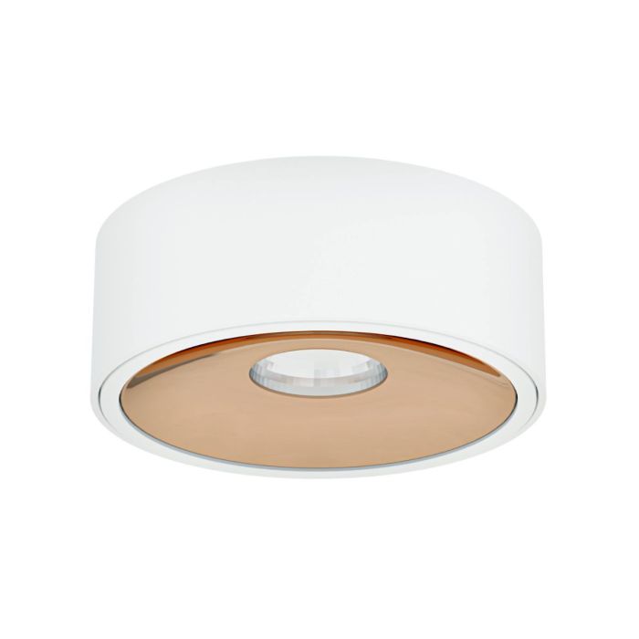 Open Design Highlights-Neo-OR83606-ORLOR83606